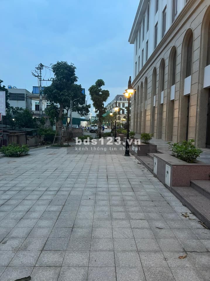 Bán 40m2 đất trục chính An Đào C đối diện shophouse kinh doanh đỉnh giá tốt đầu tư