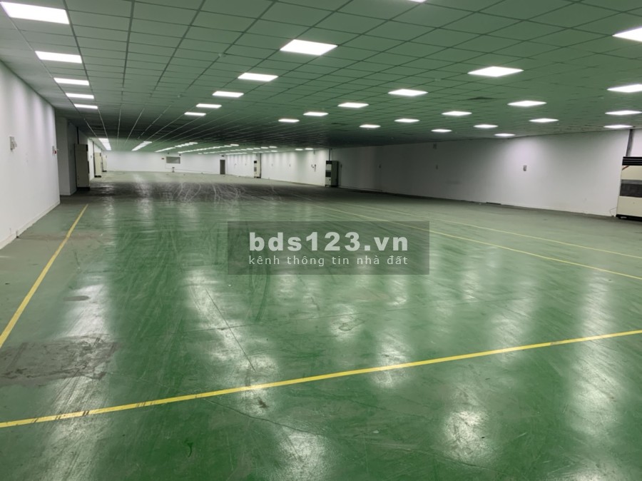 Cho thuê kho xưởng dtsd 1800m2+1750m2 Quốc Lộ 1A, Tân Túc, Bình Chánh, TP HCM