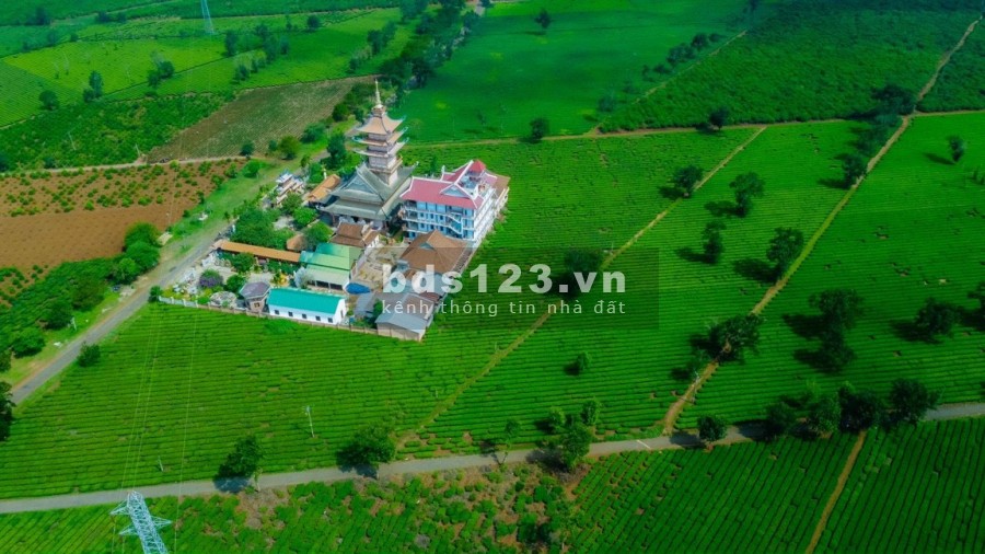Đất nền biệt thự vườn liền kề sân Golf lớn nhất Gia Lai chỉ từ 1.4 tỷ/nền