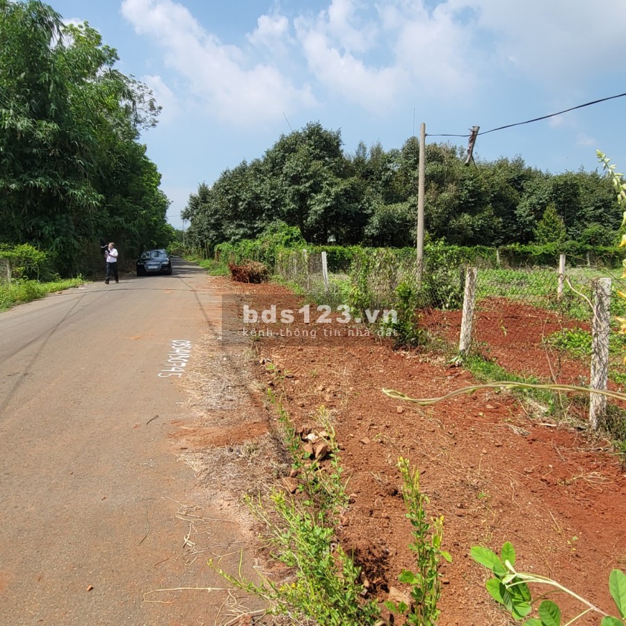 Bán đất Long Phước diện tích 10x55m có 100m thổ cư, giá thương lượng, khu dân cư