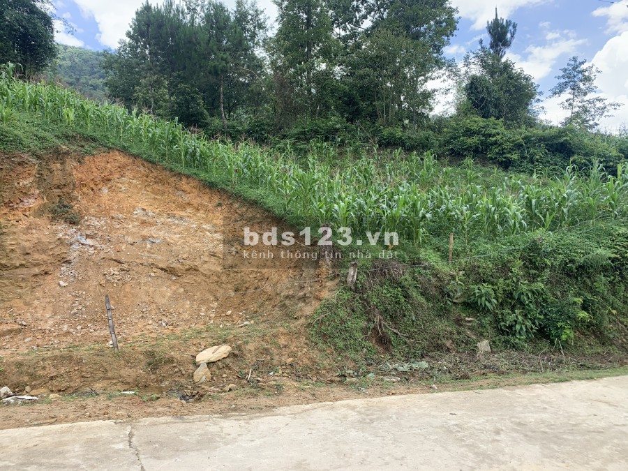 Mảnh đất diện tích rộng gần 4000m2 ở trung tâm Y Tý phù hợp mọi loại hình kinh doanh