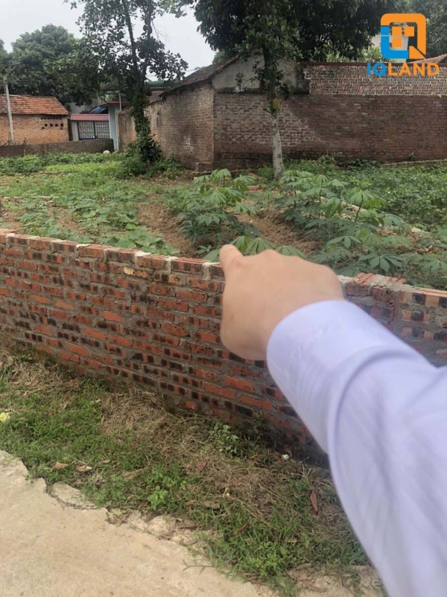 Giá siêu rẻ đường 5m, cạnh ngã 3 cách khu công nghiệp sạch 1 km, giá tốt tiện đầu tư sinh lời