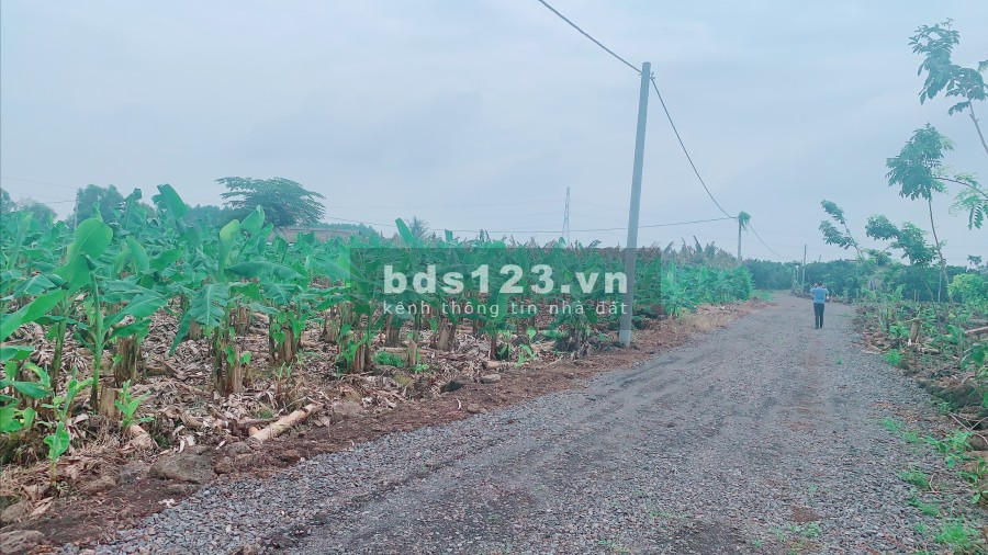 Bán Đất Sào Trảng Bom - Đồng Nai sổ hồng riêng, khu dân cư đông đúc, giá tốt tiện đầu tư