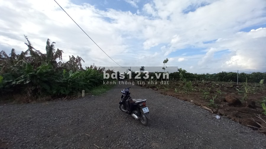 Bán Đất Sào Trảng Bom - Đồng Nai sổ hồng riêng, khu dân cư đông đúc, giá tốt tiện đầu tư