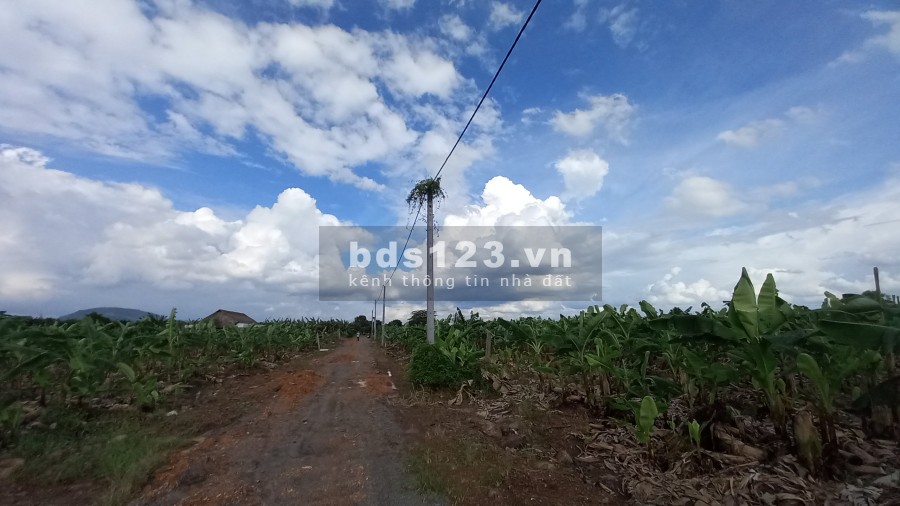 Bán Đất Sào Trảng Bom - Đồng Nai sổ hồng riêng, khu dân cư đông đúc, giá tốt tiện đầu tư
