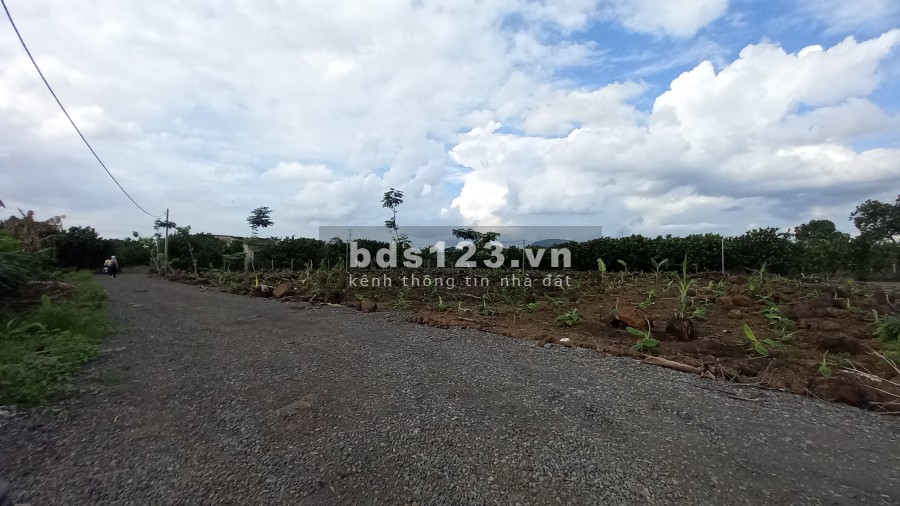 Bán Đất Sào Trảng Bom - Đồng Nai sổ hồng riêng, khu dân cư đông đúc, giá tốt tiện đầu tư