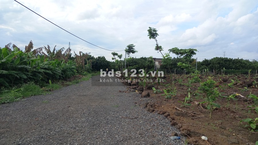 Bán Đất Sào Trảng Bom - Đồng Nai sổ hồng riêng, khu dân cư đông đúc, giá tốt tiện đầu tư
