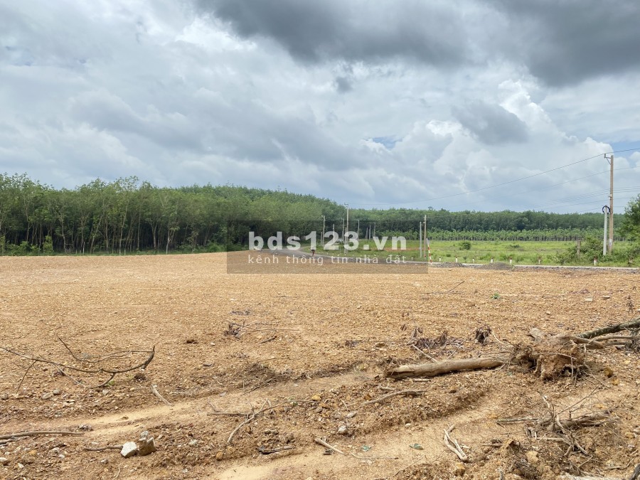 Bán Gấp đất thổ cư mặt tiền Liên Xã QH 29m và mặt tiền ĐH ĐỒNG TÂM - THUẬN LỢI QH32