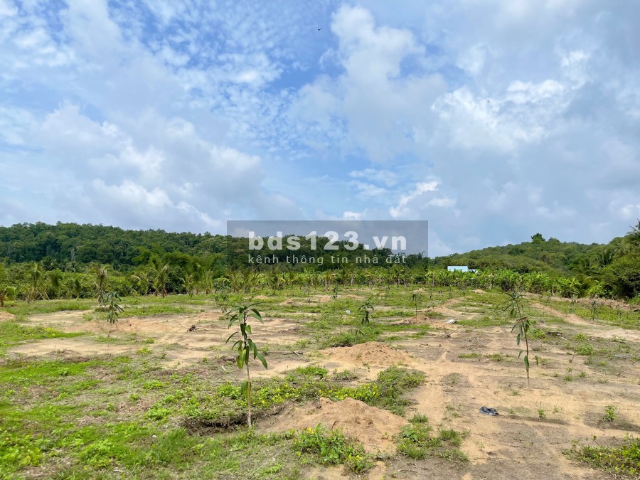 Bán đất ngay thị trấn Định Quán, sổ hồng riêng có sẵn liên hệ 0395450972, khu dân cư đông đúc