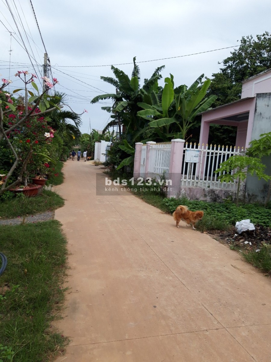 Bán đất thổ cư ngay trung tâm thị xã Hòa Thành, Tây Ninh sổ chính chủ, giá tốt đầu tư