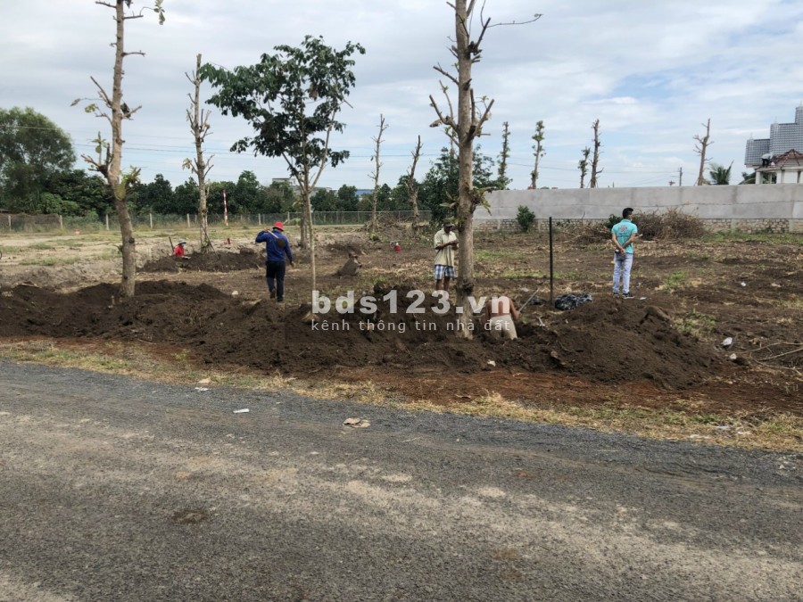 Bán gấp đất khu vực đất đỏ Bà Rịa Vũng tàu dt 179.1m22, mặt tiền đường lớn sổ hồng riêng
