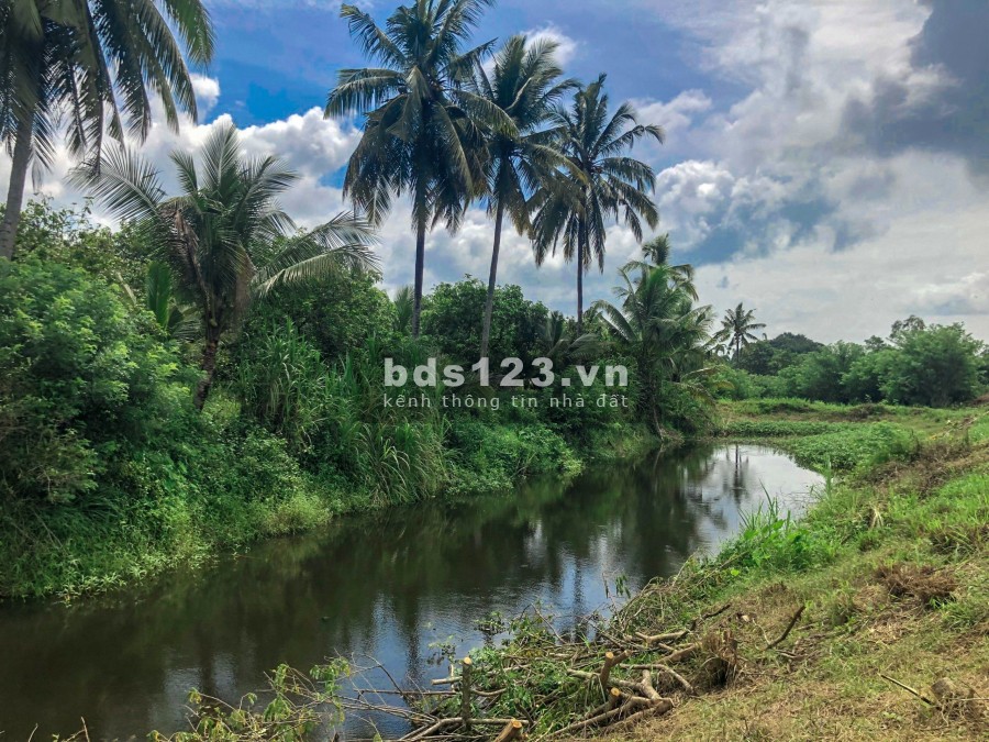 Bán đất nghỉ dưỡng ngay Trung Tâm TT. Định Quán liên hệ 0963646426, sổ hồng riêng có sẵn