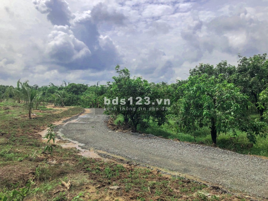 Bán đất nghỉ dưỡng ngay Trung Tâm TT. Định Quán liên hệ 0963646426, sổ hồng riêng có sẵn
