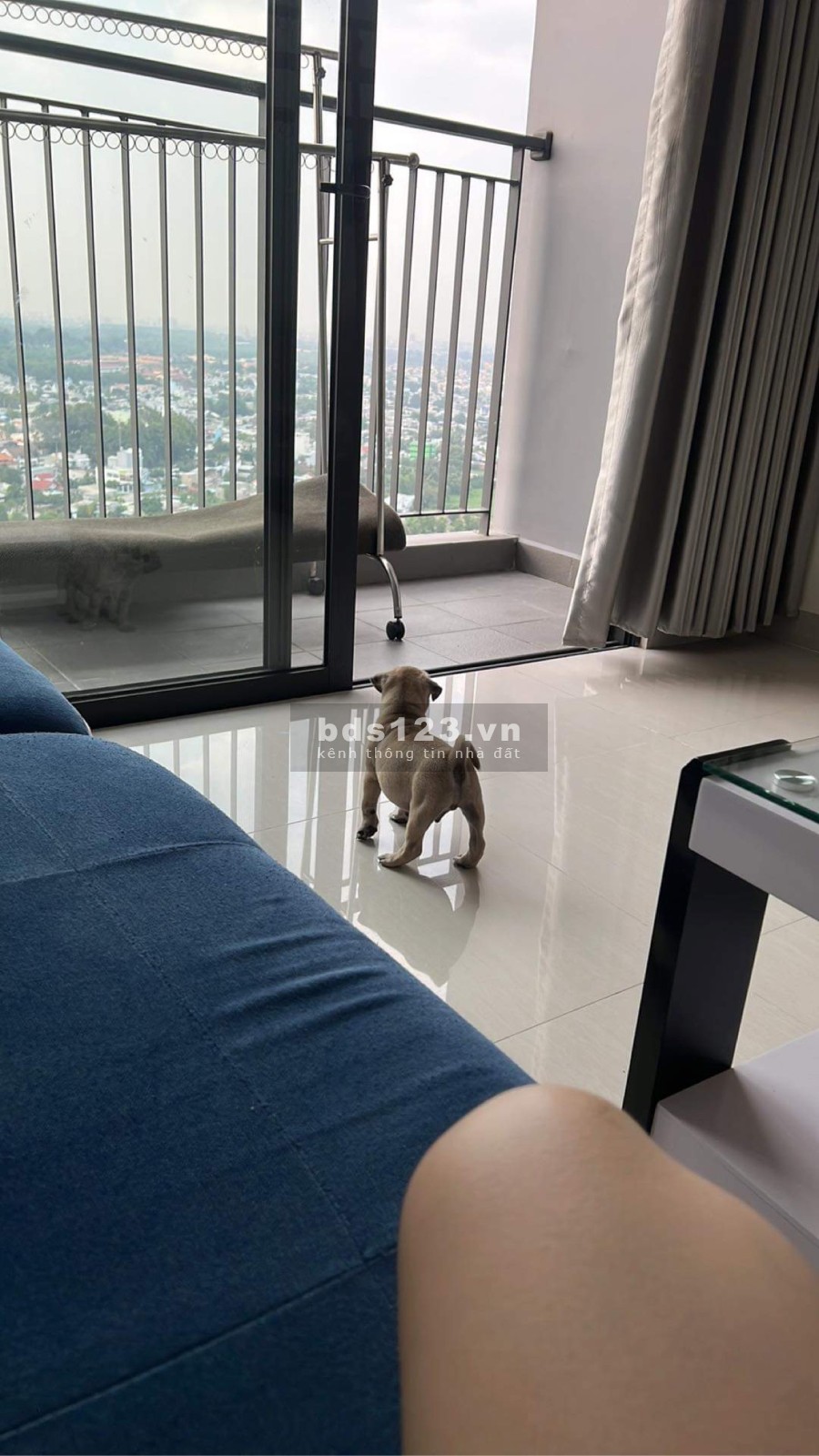Cho thuê 1PN Full NT Tầng cao View đẹp - DT 50m2 tại Vinhomes Q.9 - giá 6,5tr