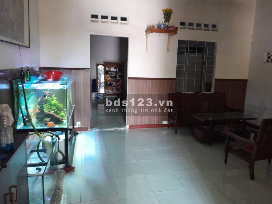 Bán đất tặng nhà cấp 4 diện tích siêu khủng, giá bán chỉ 5 tỷ, có thương lương