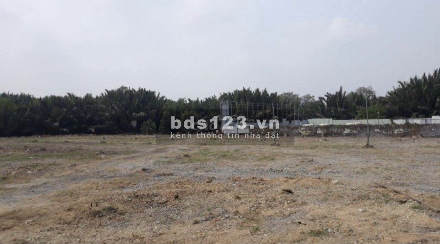 Cho thuê đất diện tích 6000m2 Gần mặt tiền Nguyễn Văn Linh phường Bình Thuận, Quận 7