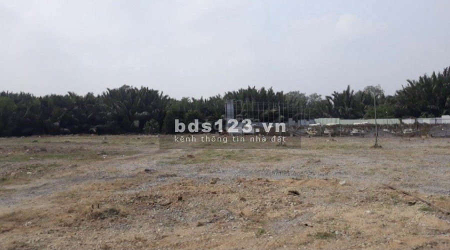 Cho thuê đất diện tích 6000m2 Gần mặt tiền Nguyễn Văn Linh phường Bình Thuận, Quận 7