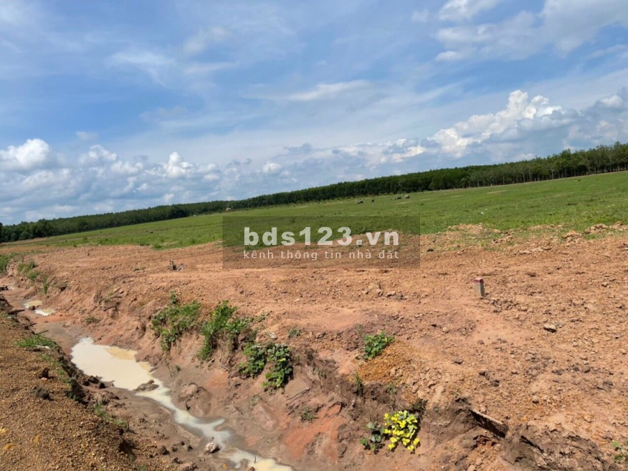 Đất sào 1000m2 hỗ trợ lên 400m2 thổ giá 550 triệu sổ hồng riêng tiện ích đầy đủ