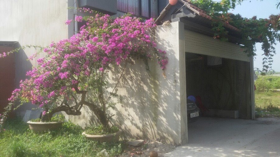 Cho thuê nhà nguyên căn 1 lầu đường Phan Văn Đáng, huyện Nhơn Trạch, tỉnh Đồng Nai