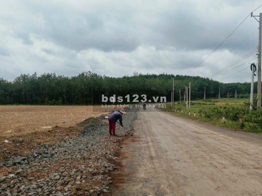 Bán gấp đất mặt tiền liên xã nhựa hiện hữu 6-8m QH 29-32m thuận lợi tại Đồng Phú