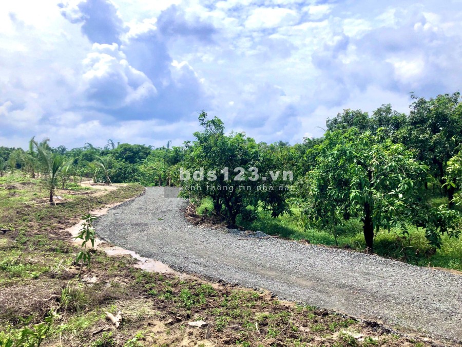 Bán mảnh vườn nghỉ dưỡng ngay Hồ Cà Ròn giá bnas 985 triệu, liên hệ 0963646426