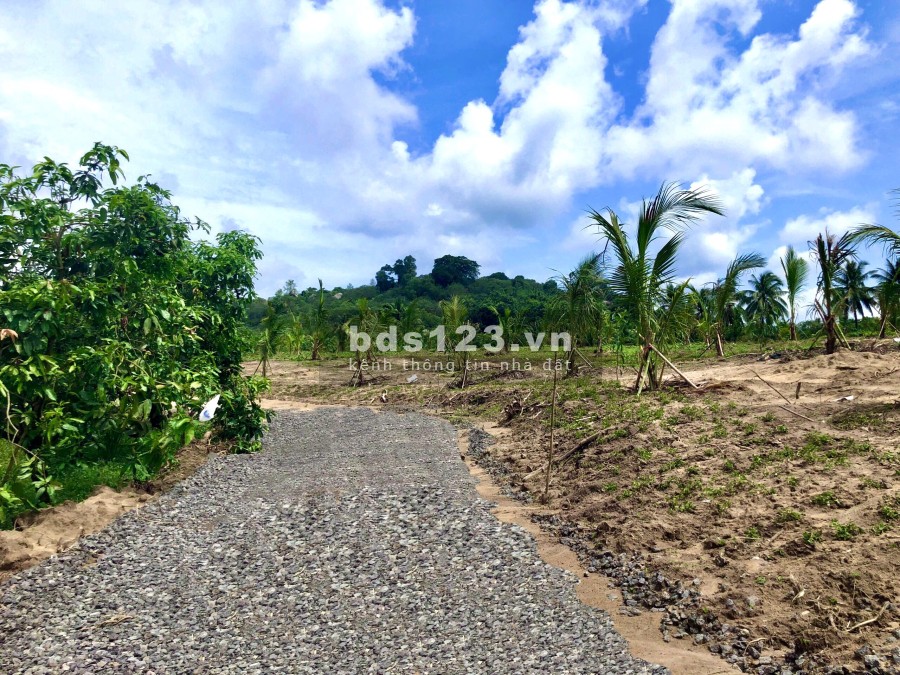 Bán mảnh vườn nghỉ dưỡng ngay Hồ Cà Ròn giá bnas 985 triệu, liên hệ 0963646426