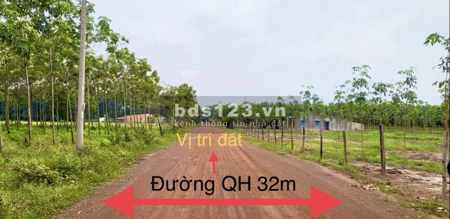 Bán đất chính chủ tại Bình Phước, có thổ cư, sổ hồng riêng công chứng ngay