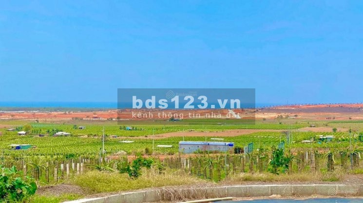 Bán gấp 1,3 sào đất ngay QL1A, Phan Hiệp, Bình Thuận liên hệ 0366151381, có sổ sẵn