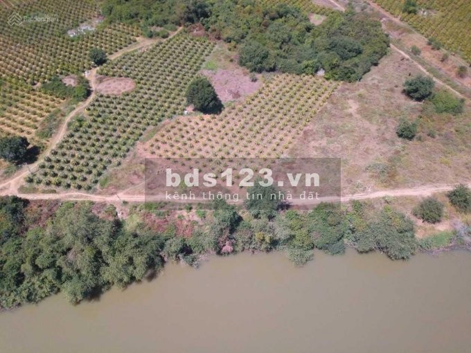 Bán gấp 1,3 sào đất ngay QL1A, Phan Hiệp, Bình Thuận liên hệ 0366151381, có sổ sẵn
