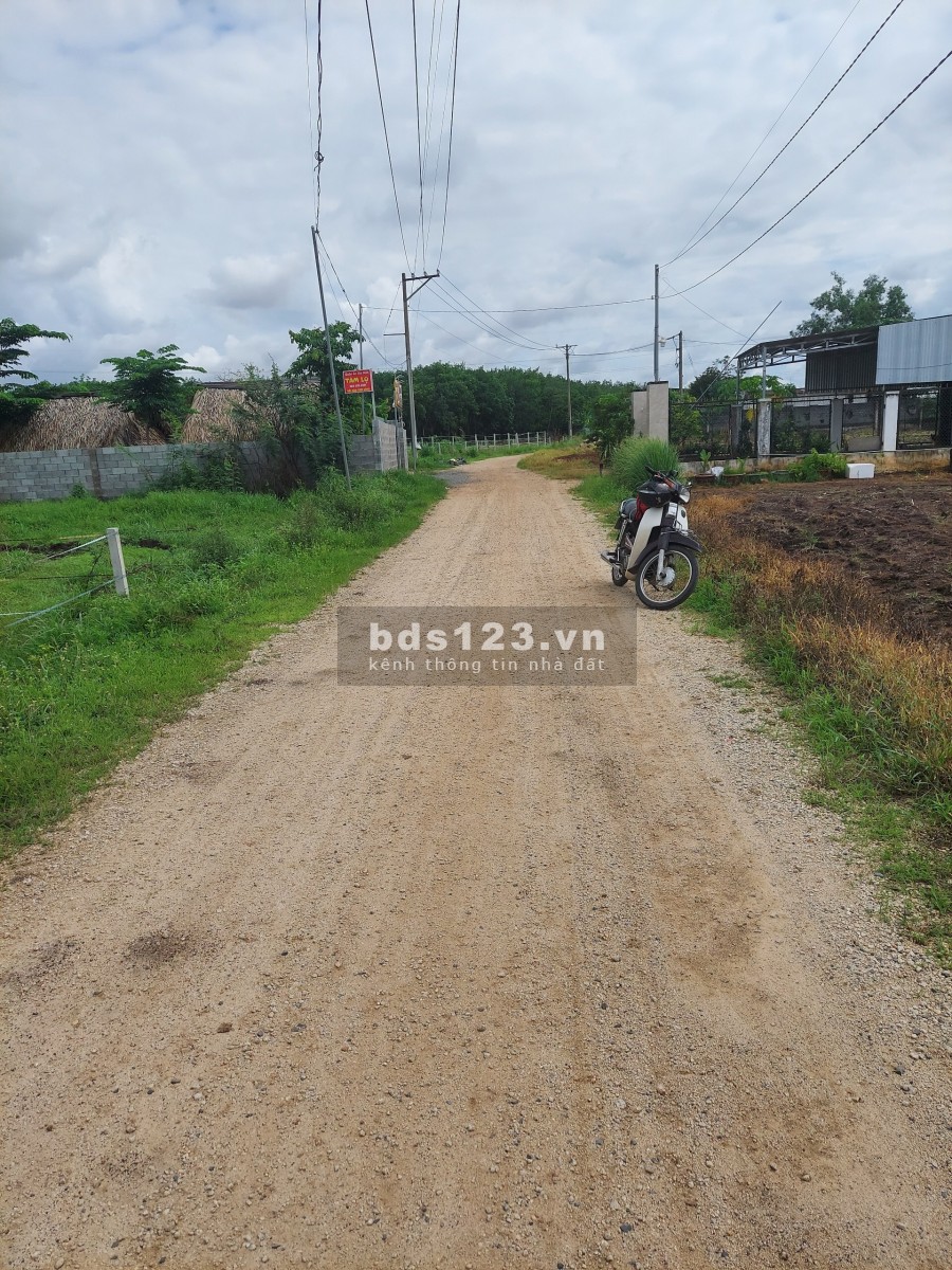 Đất Sào Phủ Hồng Trung Tâm xã Bàu Cạn giá đầu tư, khu dân cư hiện hữu, vị trí đẹp