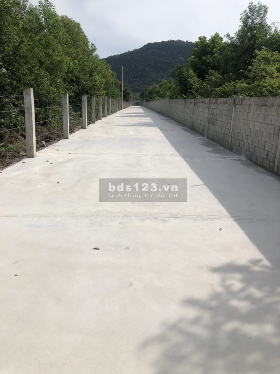 Bán Đất Đường Đồng Tranh - Gần Khu Phi Thuế Quan bàn giao có sẵn sổ hồng, giá tốt