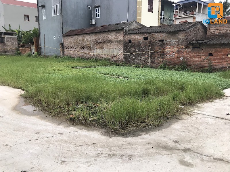 Cần tiền nên bán gấp mảnh đất 2 mặt tiền tại Đình Trung Diện tích 48m2