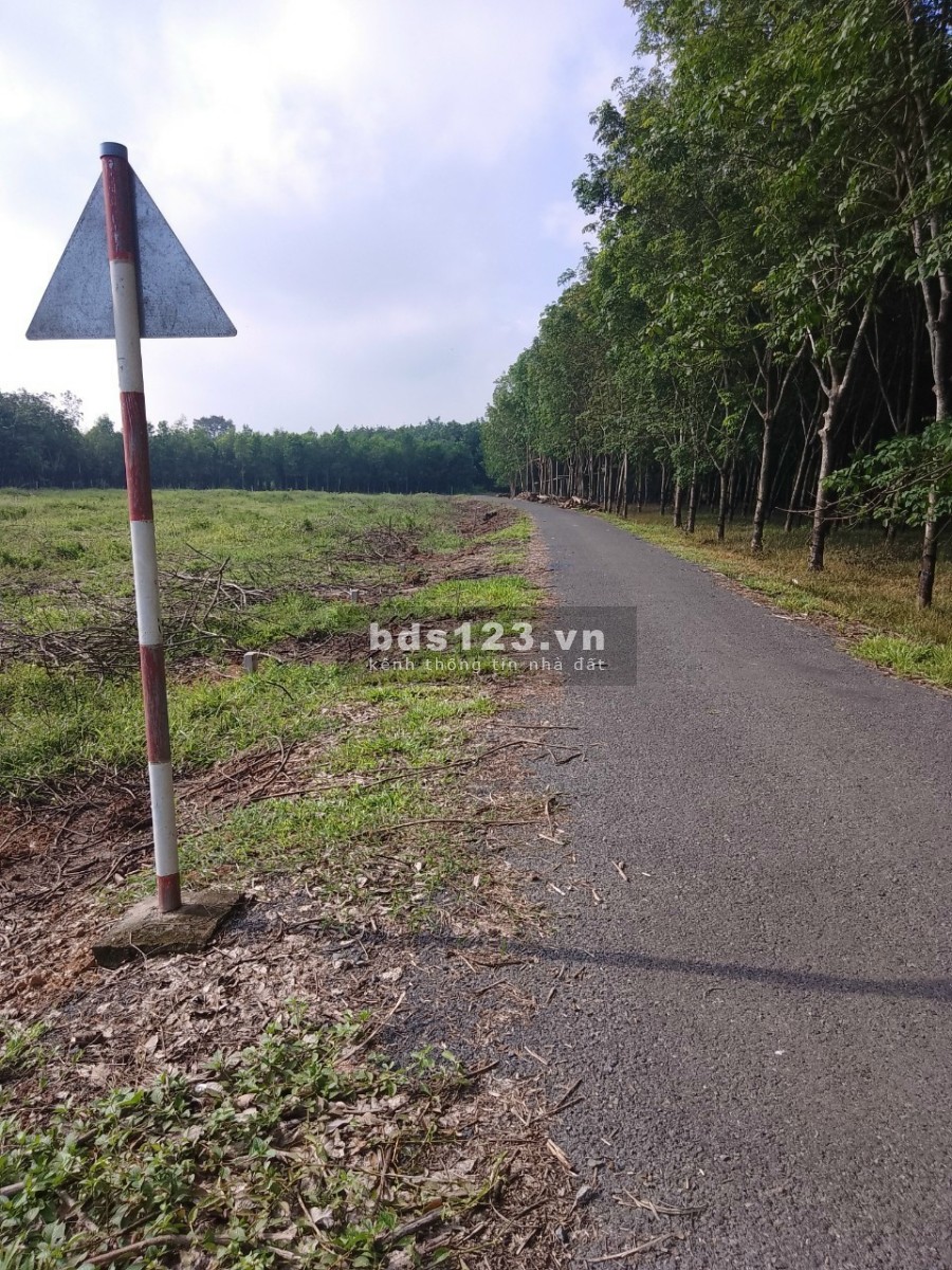 Đất rẻ (Ninh Diền, Châu Thành, Tây Ninh) diện tích sử dụng 5x40 full thổ cư