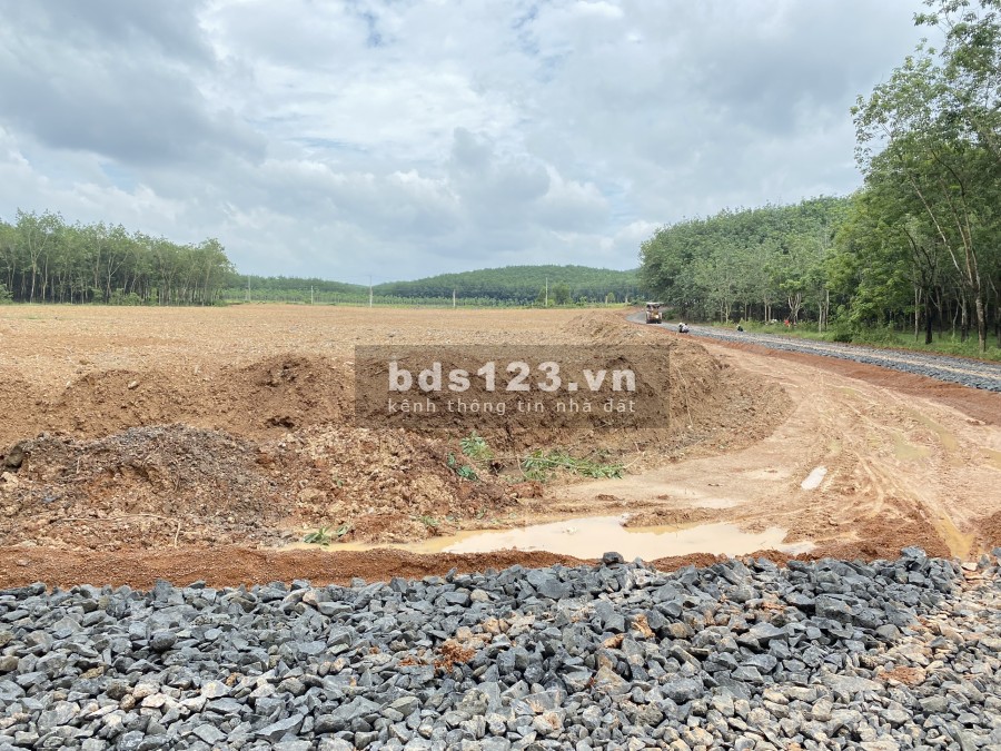 Bán đất thổ cư mặt tiền Liên Xã QH 29m - 32m Thuận Lợi - Đồng Phú giá F0 cho nhà đầu tư