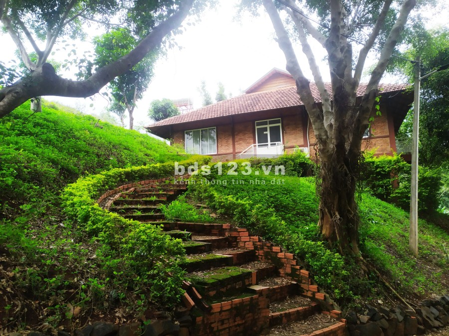 Bán khu đất nằm trong khu nghỉ dưỡng sinh thái AKO DHONG giá bán 45 tỷ, sổ sẵn