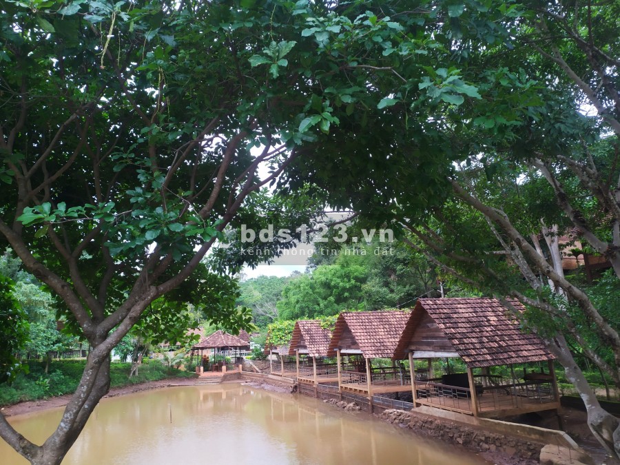 Bán khu đất nằm trong khu nghỉ dưỡng sinh thái AKO DHONG giá bán 45 tỷ, sổ sẵn