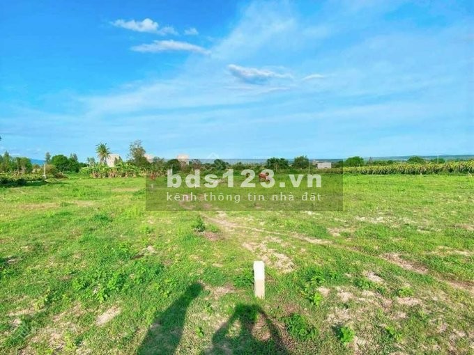 Bán gấp 1,3 sào đất ngay QL1A, Phan Hiệp, Bình Thuận liên hệ 0366151381, có sổ sẵn