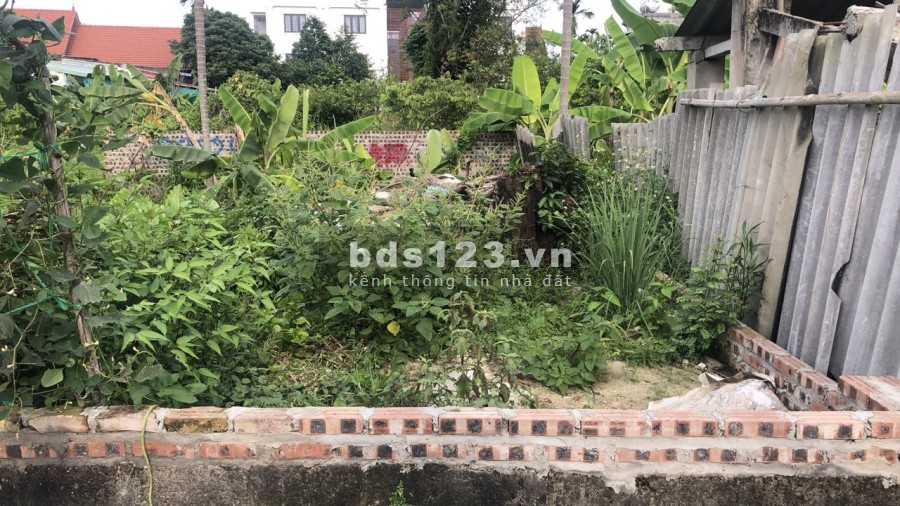 Lô đất lét cho các nhà đầu tư xuống tiền và xây nhà Đào Yêu Hồng Thái An Dương Hải Phòng.