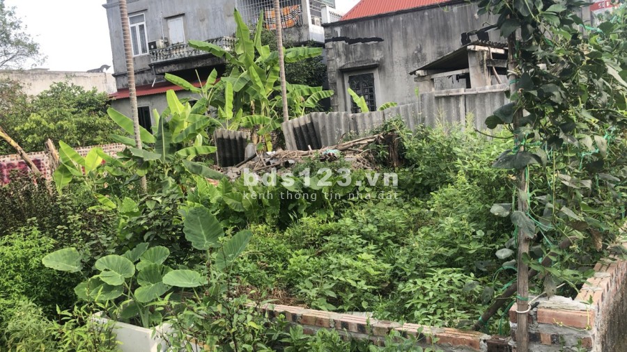 Lô đất lét cho các nhà đầu tư xuống tiền và xây nhà Đào Yêu Hồng Thái An Dương Hải Phòng.