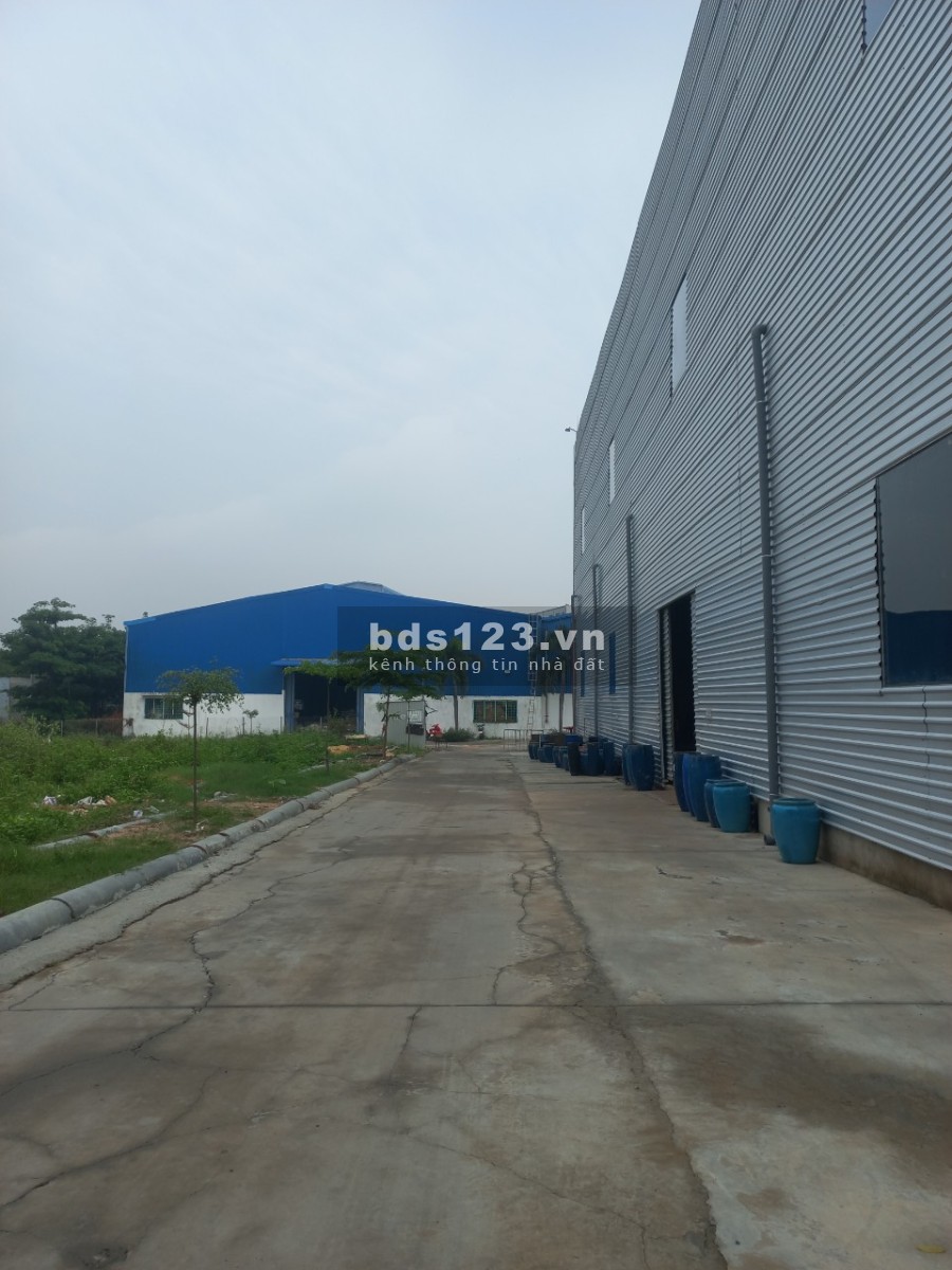 Cho thuê kho xưởng 1560m2 mặt tiền tại Thuận An - Bình Dương. Cho thuê diện tích từ 300m2 trở lên