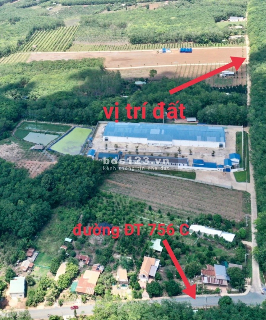 Cần bán đất ngay chợ Tân Quan giá ban chỉ 370 triệu, ngân hàng hỗ trợ vay, giá tốt