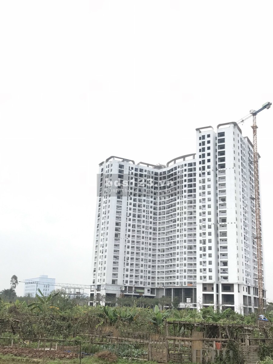 Cho thuê shophouse chung cư Tecco Diamond Thanh Trì vị trí đẹp vừa ở vừa kinh doanh