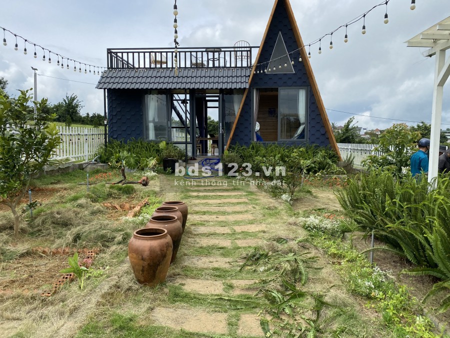 Bán đất Bảo Lộc. Diện tích 10x25 đã lên full thổ cư 100%. Giá từ 1tỷ - 1tỷ5 lh 0971436096