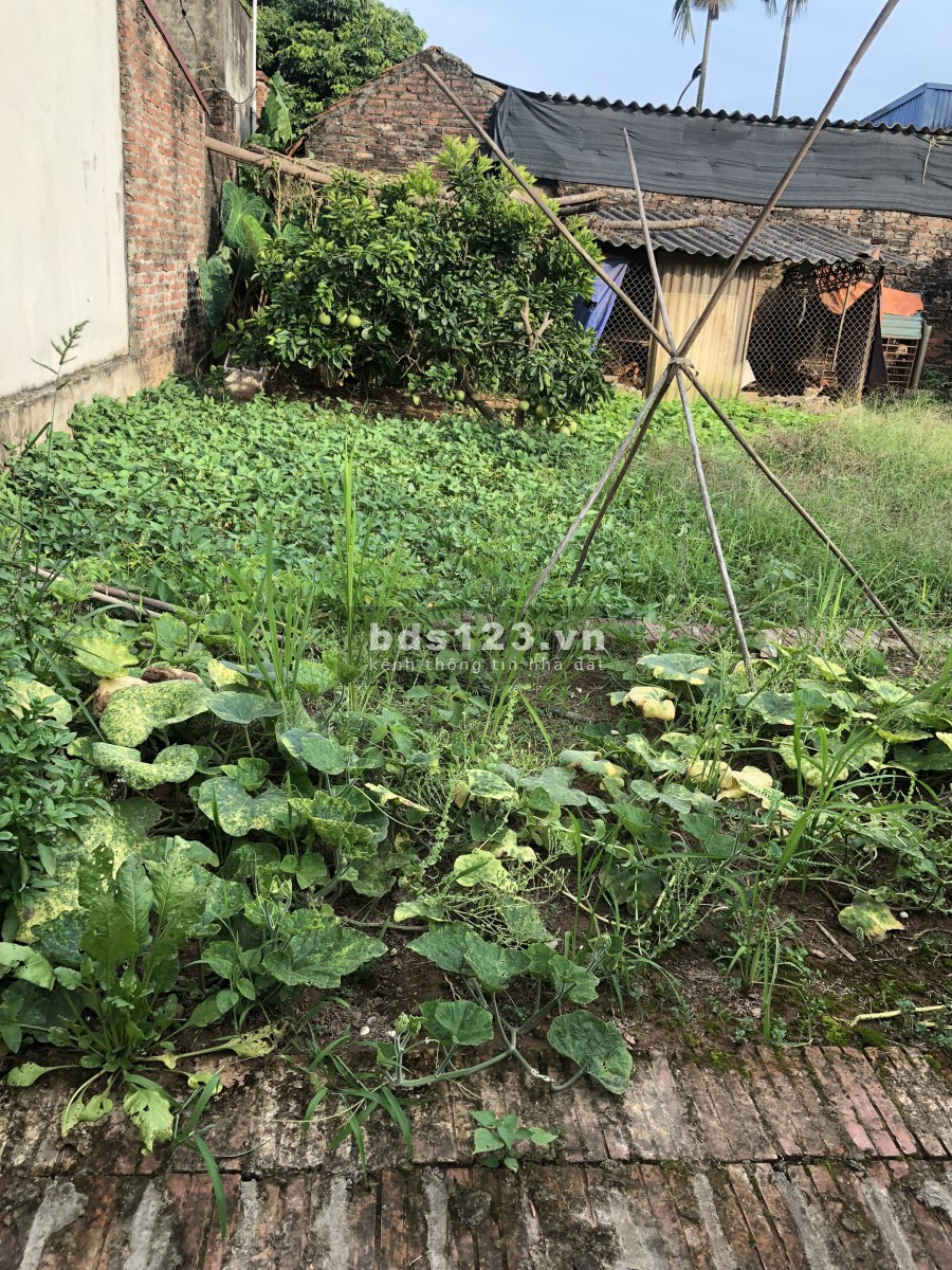 Chính chủ cần bán đất 48m2, tại Mộc Hoàn Vân Côn, Hoài Đúc, cách Đại Thăng Long 800m