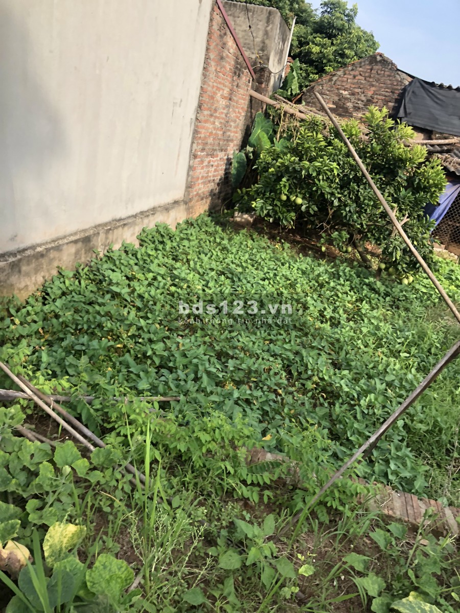 Chính chủ cần bán đất 48m2, tại Mộc Hoàn Vân Côn, Hoài Đúc, cách Đại Thăng Long 800m