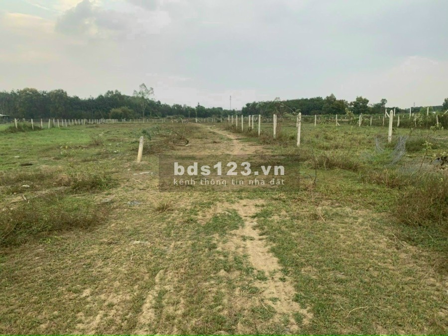 Bán đất vườn giá rẻ Nhuận Đức Củ Chi giá bán chỉ 650 triệu diện tích sử dụng 257m2