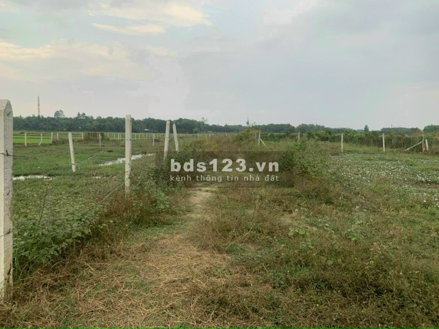 Bán đất vườn giá rẻ Nhuận Đức Củ Chi giá bán chỉ 650 triệu diện tích sử dụng 257m2