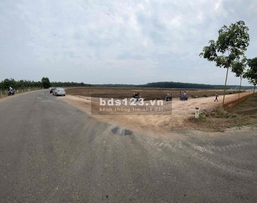 Đất sào Tân Hiệp Dg Nhựa diện tích sử dụng 12,50x92m giá 1 tỷ 950 gần cổng KCN An Linh