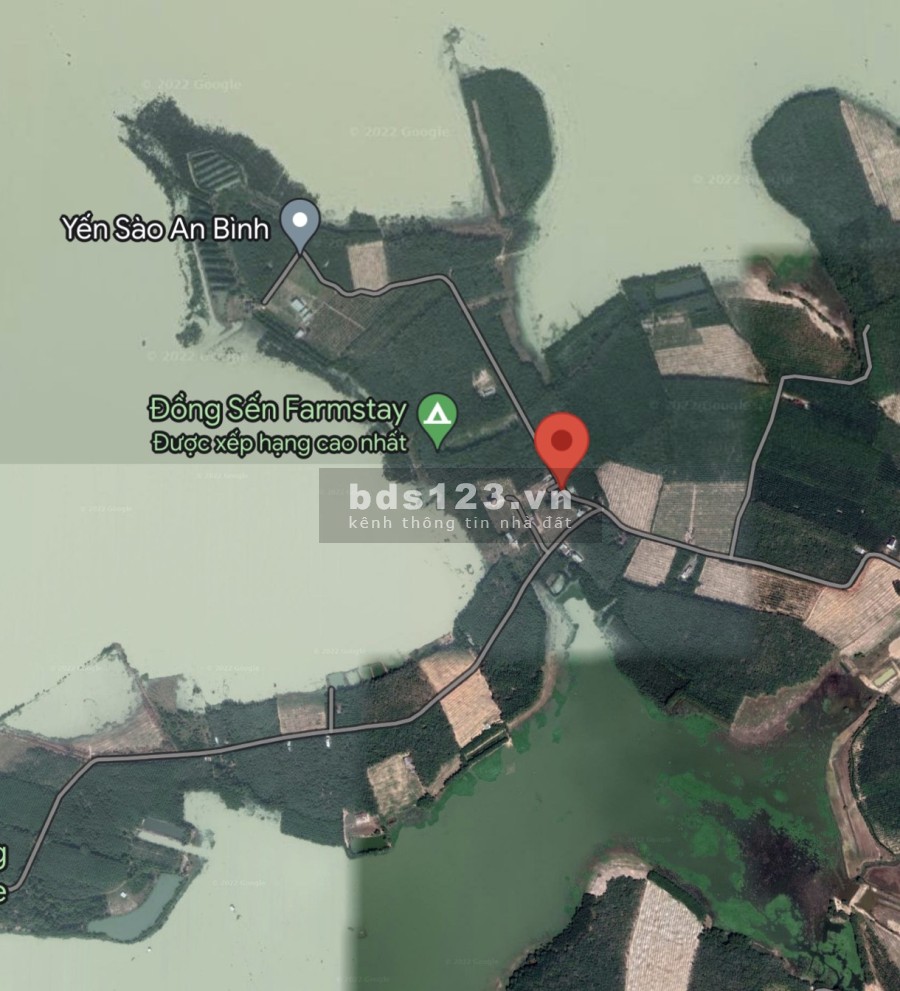 Bán đất cho nhà đầu tư ưng ý, tại ấp Đầm Sến, Xã Định An, Huyện Dầu Tiếng, Bình Dương
