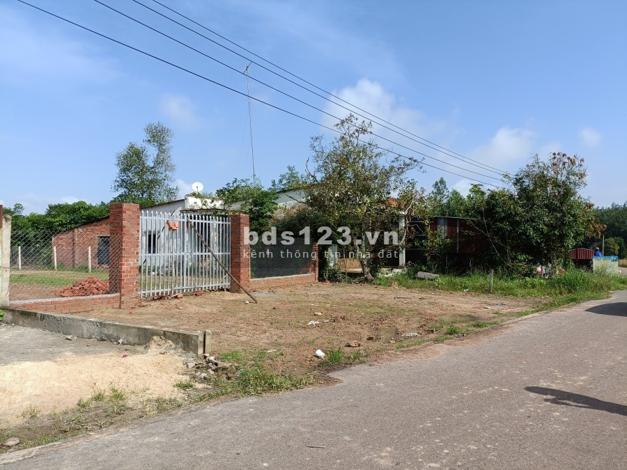 Bán đất cho nhà đầu tư ưng ý, tại ấp Đầm Sến, Xã Định An, Huyện Dầu Tiếng, Bình Dương